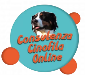 Consulenza cinofila on line -StiCani