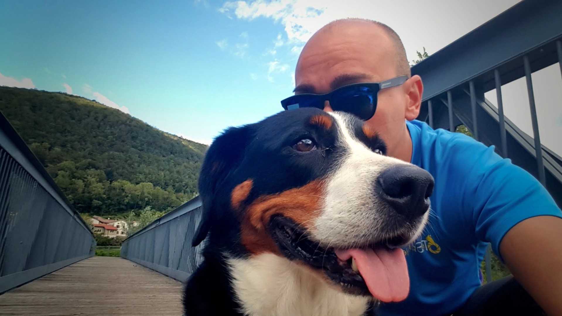 Addestramento cani Cividale del Friuli e Valli del Natisone con metodo cognitivo-relazionale