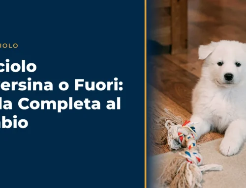 Cucciolo Traversina o Fuori: Guida Completa al Cambio