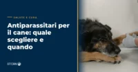 antiparassitari cane - visita veterinaria per scegliere la protezione giusta