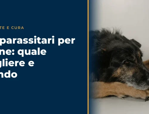 Antiparassitari per il cane: guida completa 2026