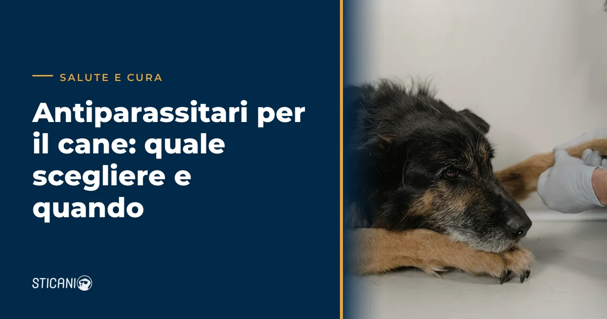 antiparassitari cane - visita veterinaria per scegliere la protezione giusta